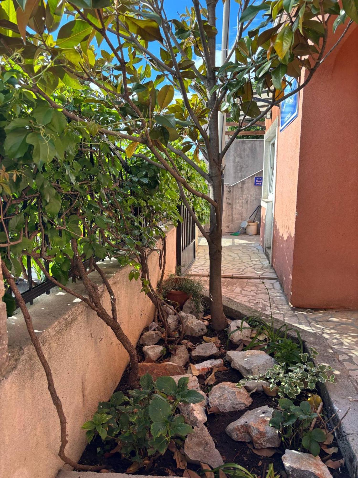 סנג' Apartments & Room Madi מראה חיצוני תמונה